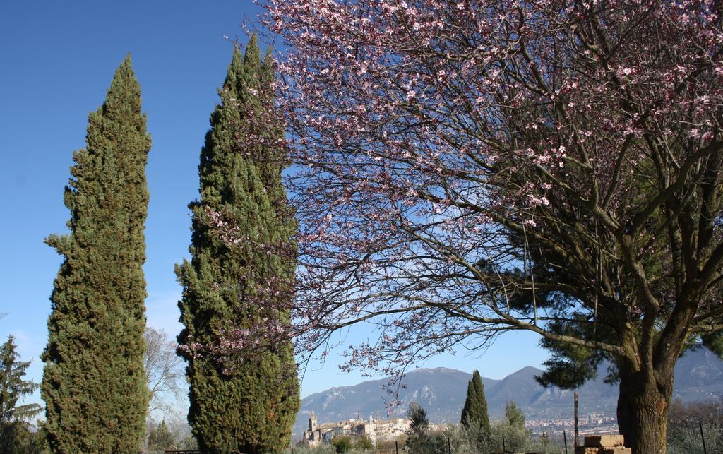 Penzion Le Storie Di Bambu Terni Exteriér fotografie