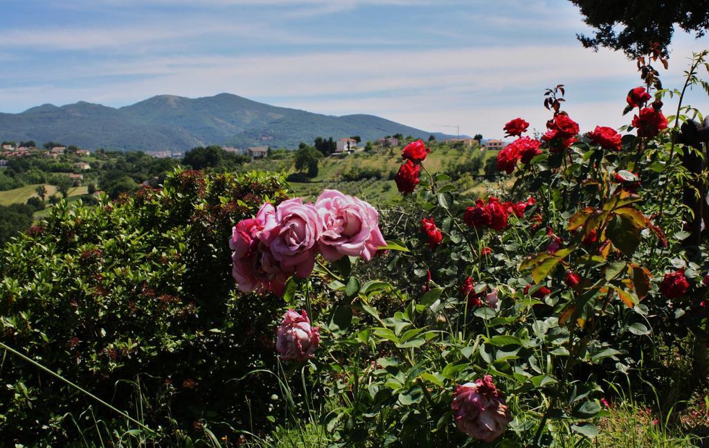 Penzion Le Storie Di Bambu Terni Exteriér fotografie