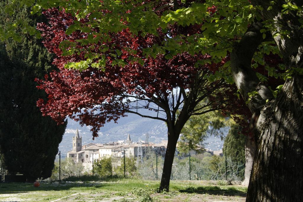 Penzion Le Storie Di Bambu Terni Exteriér fotografie